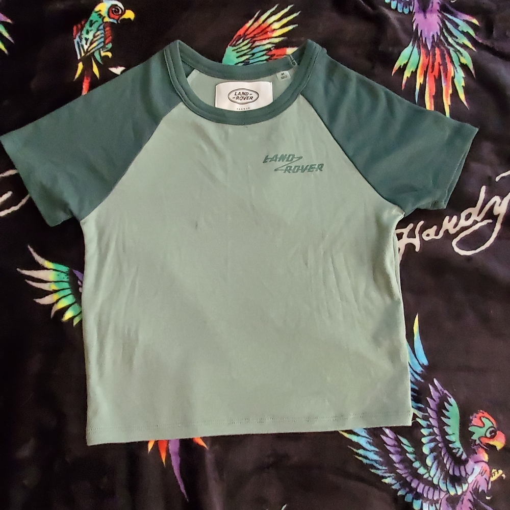 PacSun Two-Tone Sage Green Raglan Short Sleeve Tee